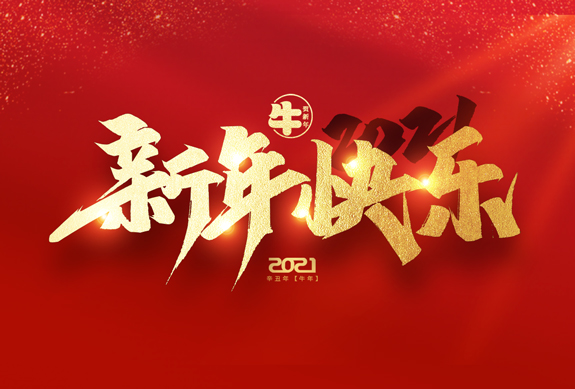 麗水市威儀自動(dòng)化技術(shù)有限公司祝全國人民2021年新年快樂！