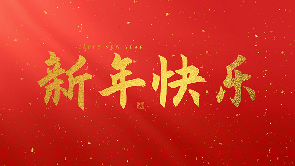 麗水市威儀自動(dòng)化技術(shù)有限公司祝全國人民2025新年快樂！